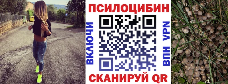 Купить  Среднеколымск  Псилоцибиновые грибы мицелий 